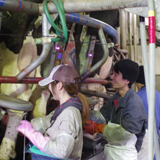 はじめはみんな素人でした