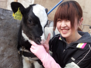 十勝清水の藤井牧場