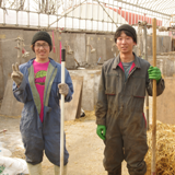 ゆかいな仲間たち