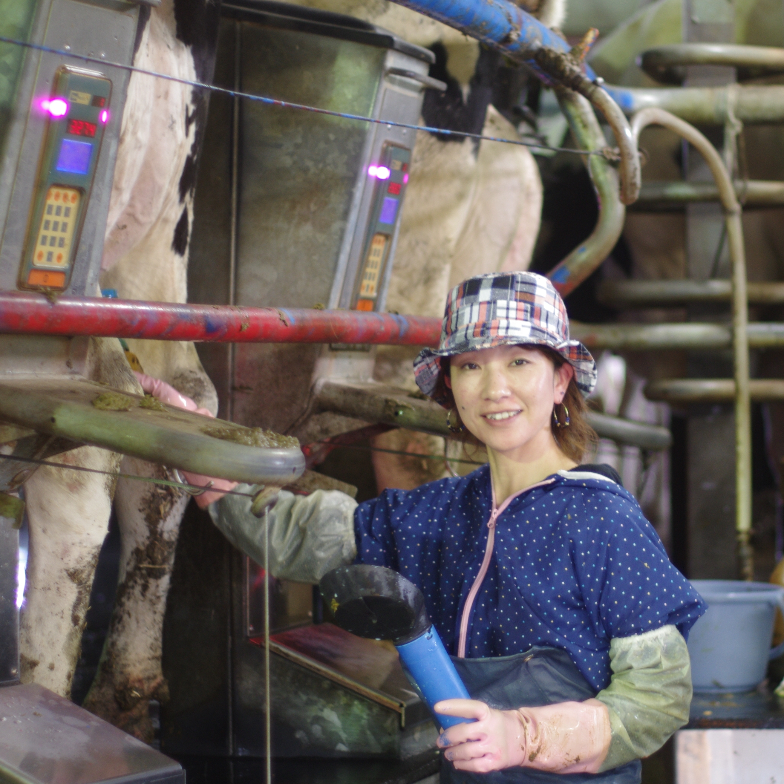 藤井牧場のロータリーパーラー1