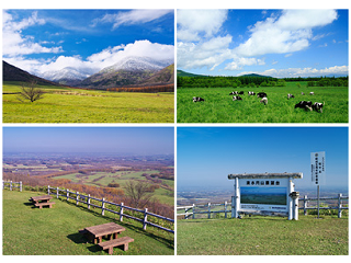 清水町への移住